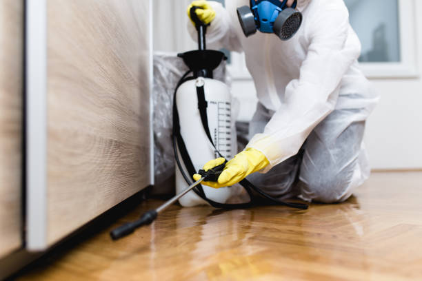 Professional Pest Control in Kingsland, TX