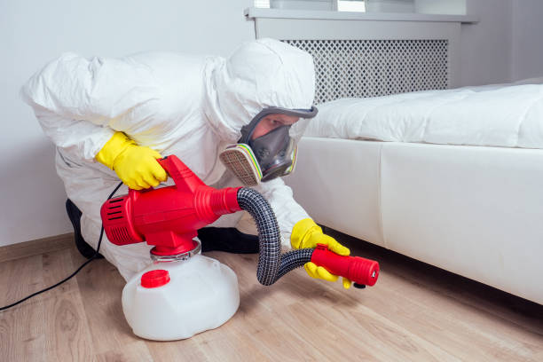 Best Pest Control for Restaurants  in Kingsland, TX